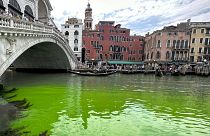 L'eau d'un tronçon du Grand Canal à Venise verte fluorescente