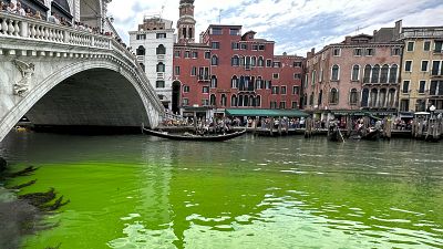 A bright patch of green is seen in the Grand Canal , in Venice, Italy, Sunday, May 28, 2023.