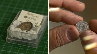 Rare Viking treasure trove unearthed in Denmark