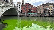 Gondolas navigate by the Rialto Bridge on Venice's historical Grand Canal as a patch of phosphorescent green liquid spreads in it, Sunday, May 28, 2023. 
