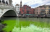 Der Canal Grande in Venedig - in grüner Farbe