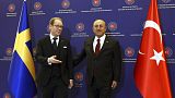 Dışişleri Bakanı Mevlüt Çavuşoğlu ile İsveçli mevkidalı Tobias Billstrom aralık ayında Ankara'da görüşmüştü