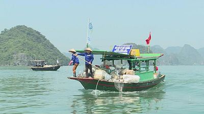 "Ha Long Bay... is under pressure" from plastic waste, conservationists have warned.
