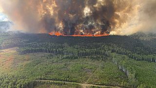 حرائق الغابات في كندا-12 مايو 2023