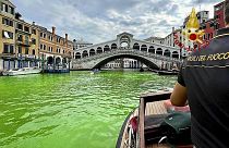 سائل أخضر غامض ظهر في مياه القنال الكبير بالقرب من جسر ريالتو الشهير في البندقية