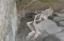 Eines der drei Opfer des Vulkanausbruchs von AD 79, die neu entdeckt wurden.