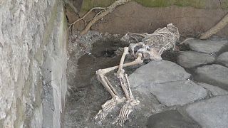 Skeleton uncovered at Pompeii site
