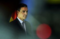 Spanish Prime Minister Pedro Sánchez has spent the last months meeting with his counterparts to lay the groundwork for this country's presidency of the EU Council.