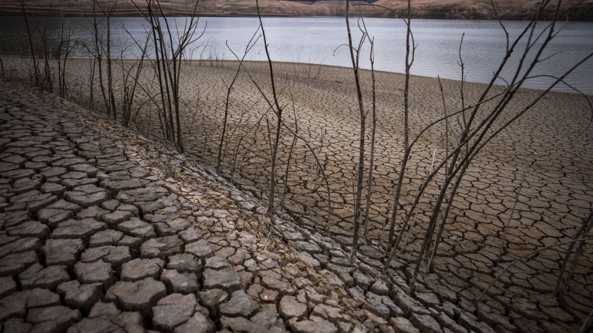 No caso de Portugal, cerca de 90% do território continental está a sofrer de seca