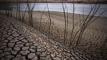 No caso de Portugal, cerca de 90% do território continental está a sofrer de seca