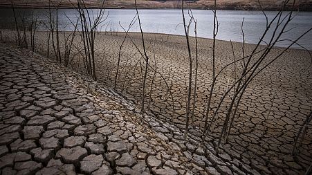 Cracked earth is visible at the Sau reservoir north of Barcelona, Spain, April 18, 2023