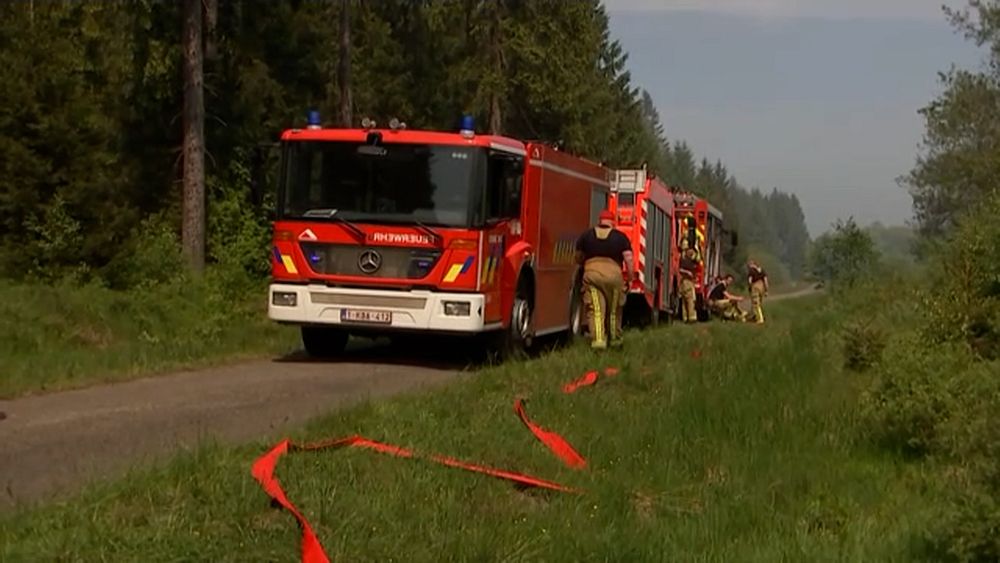 Fire breaks out on Belgian-German border, affecting over 170 hectares