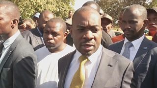 Zimbabwe: Opposition leader inspects voters roll as election date still unconfirmed