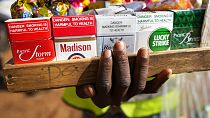 Zimbabwe : la culture du tabac à l'épreuve de l'insécurité alimentaire