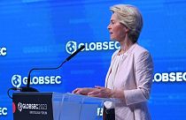 Ursula von der Leyen promete tudo fazer para acelerar o alargamento da UE 