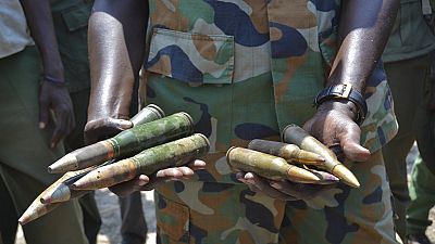 Soudan du Sud : l'ONU prolonge l'embargo sur les armes