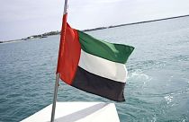 پرچم امارات عربی متحده