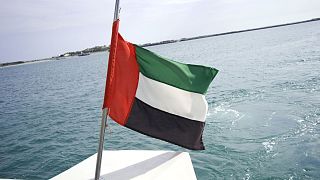 پرچم امارات عربی متحده
