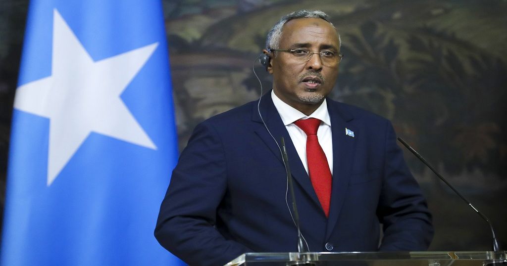 Somalia's economic potential under the spotlight - Vimarsana News