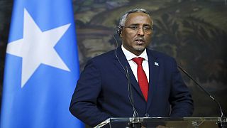 La Somalie, un potentiel économique négligé ?