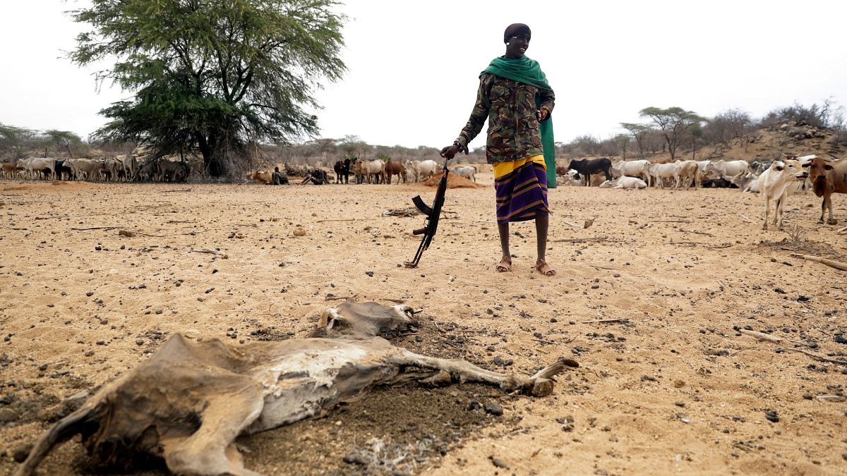 Un hombre samburu junto al cadáver de un burro mientras patrulla para proteger al ganado de los robos en el condado de Samburu, Kenia.