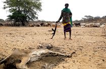 A Samburu man stands near a donkey carcass as he patrols to protect livestock from theft in Samburu County, Kenya.