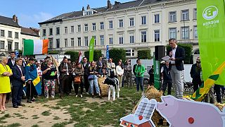 Die europäischen Bauernverbände protestieren gegen ein Gesetz zur Wiederherstellung der biologischen Vielfalt.