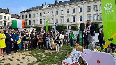 Protesta de representantes de asociaciones agrícolas y ganaderasen Bruselas