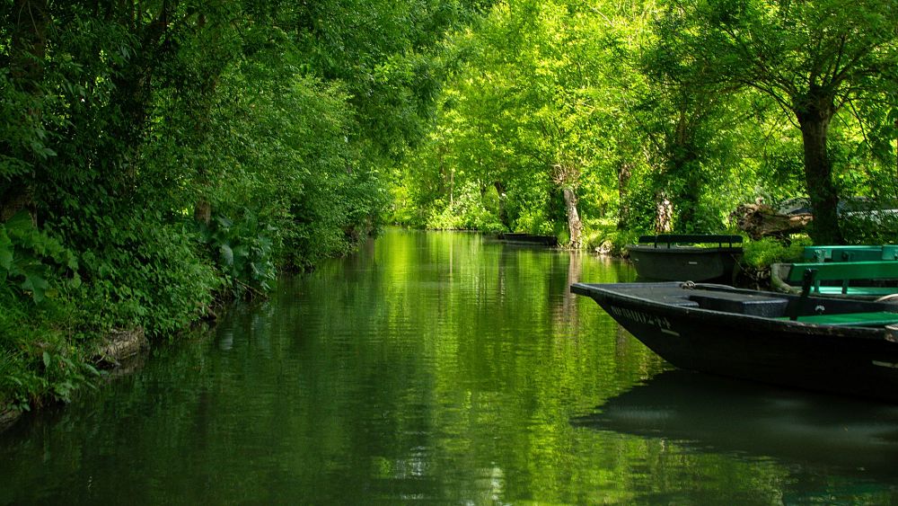 Searching for serenity? Punt through the ‘Green Venice’ of France