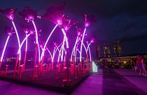 صورة من مهرجان التركيب الضوئي في سنغافورة
