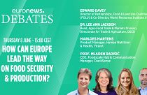 Euronews debate panellists