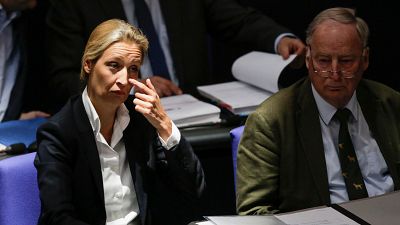Alternative for Germany party leaders Alice Weidel and Alexander Gauland.