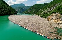 Мусор, собранный на реке Дрина, Босния и Герцеговина