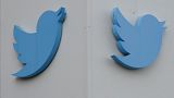 Чирикающая птичка - эмблема Твиттера 