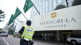 Shangri-La Oteli, Singapur