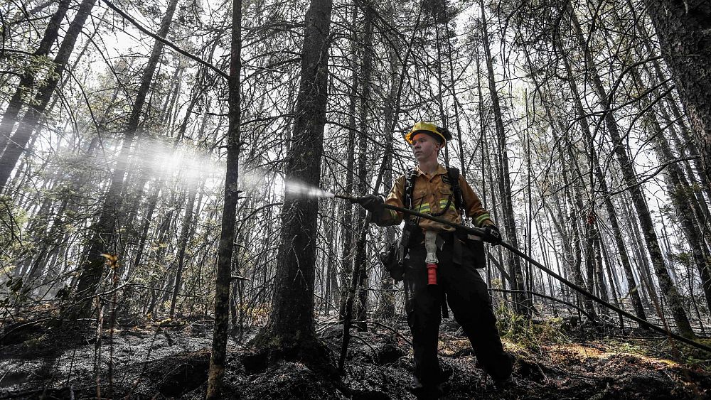 How are Canada’s fires affecting travel in the US?