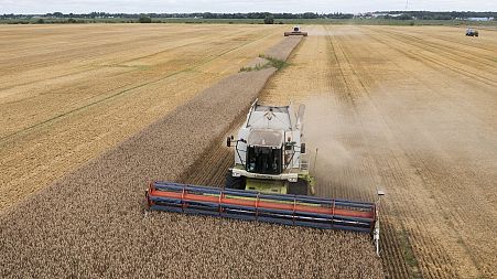 Imports of Ukrainian grain have been exempted from tariffs as part of the EU's war-time support.
