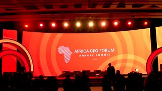 Africa CEO forum : comment révolutionner le secteur privé sur le continent ?