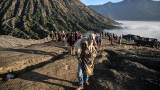 Members of the Tengger sub-ethnic group carries a goat for offering on the active Mount Bromo volcano as part of the Yadnya Kasada festival in Probolinggo, East Java.