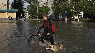 Ein Einwohner von Cherson mit seinem Hund am 6. Juni 2023