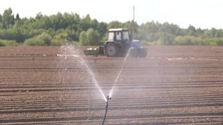 Riego de cultivos en Lituania, donde la sequía pone en peligro las cosechas.