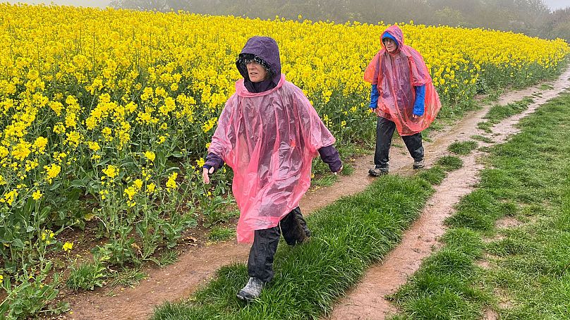 The Real Jurassic Park: Geology field course along the south coast of  England (TESC 417)