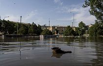Überschwemmungen in Cherson in der Ukraine nach dem Dammbruch