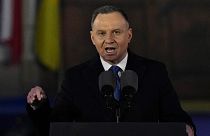 Polish President Andrzej Duda has offered changes to the controversial law on "Russian influence."