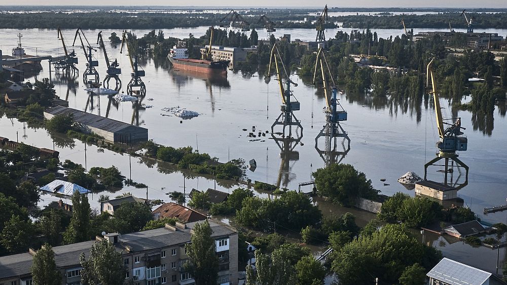 « Le plus grand écocide d’Ukraine »: des milliers d’espèces menacées par la rupture du barrage de Kakhovka
