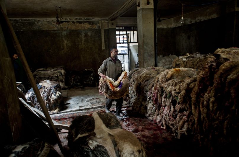 A worker at a factory in Srinagar, India carries pieces of tanned rawhide