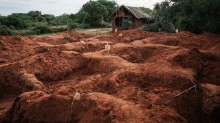 Kenya to convert massacre forest into a memorial site
