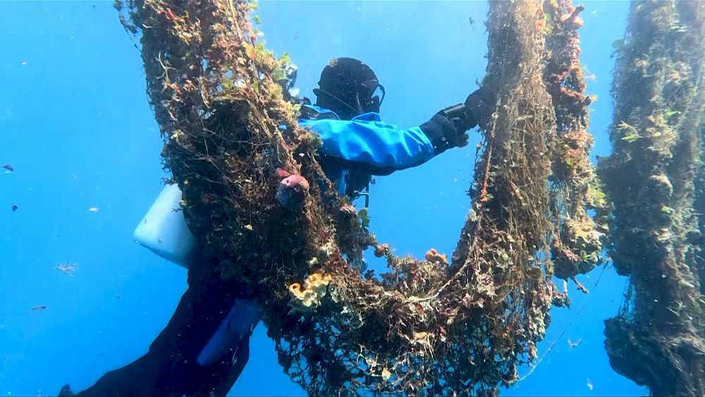 Watch volunteers pull tonnes of dumped fishing nets from Aegean Sea