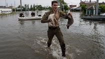 Ein ukrainischer Soldat rettet zwei Katzen vom Hochwasser in einem Stadtteil der ukrainischen Stadt Cherson 
