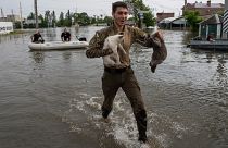 Ein ukrainischer Soldat rettet zwei Katzen vom Hochwasser in einem Stadtteil der ukrainischen Stadt Cherson